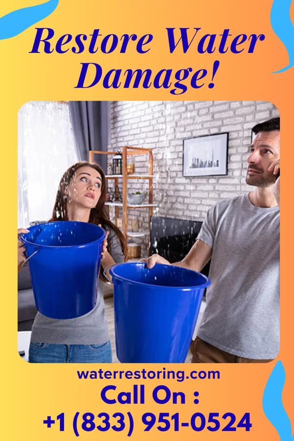 water restoration National Damage Restoration Experts Texas City