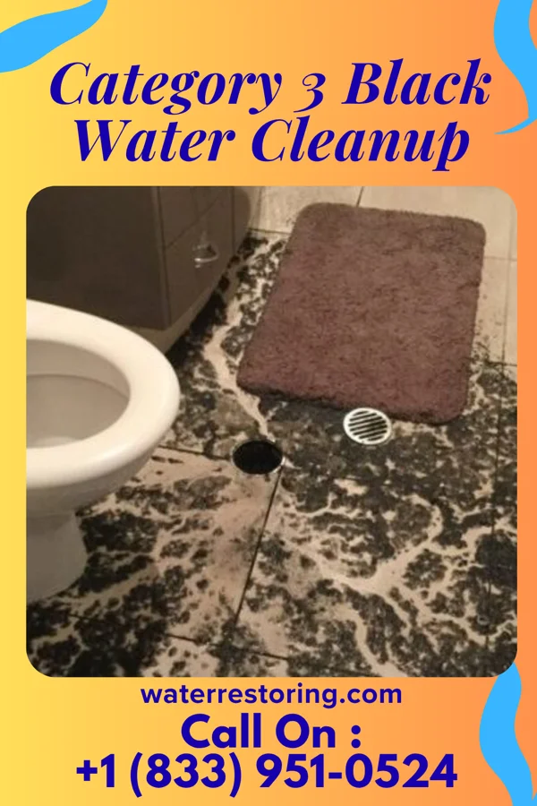Category 3 Black Water Cleanup in Texas City, TX